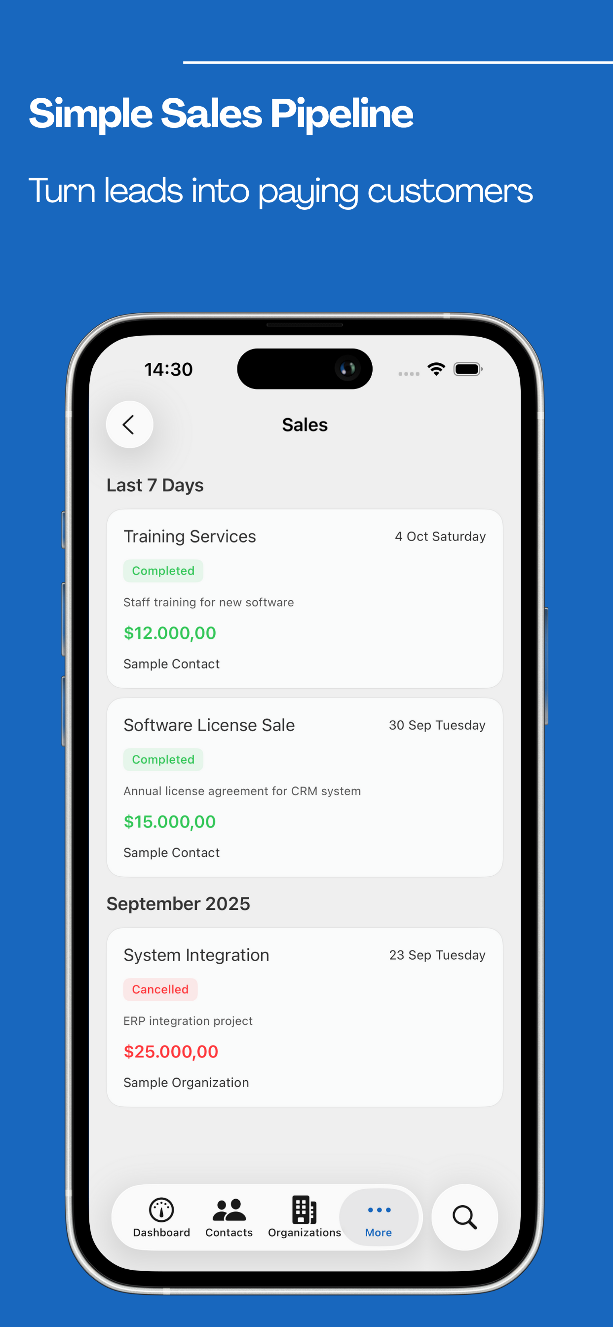 Simple CRM - Organization view